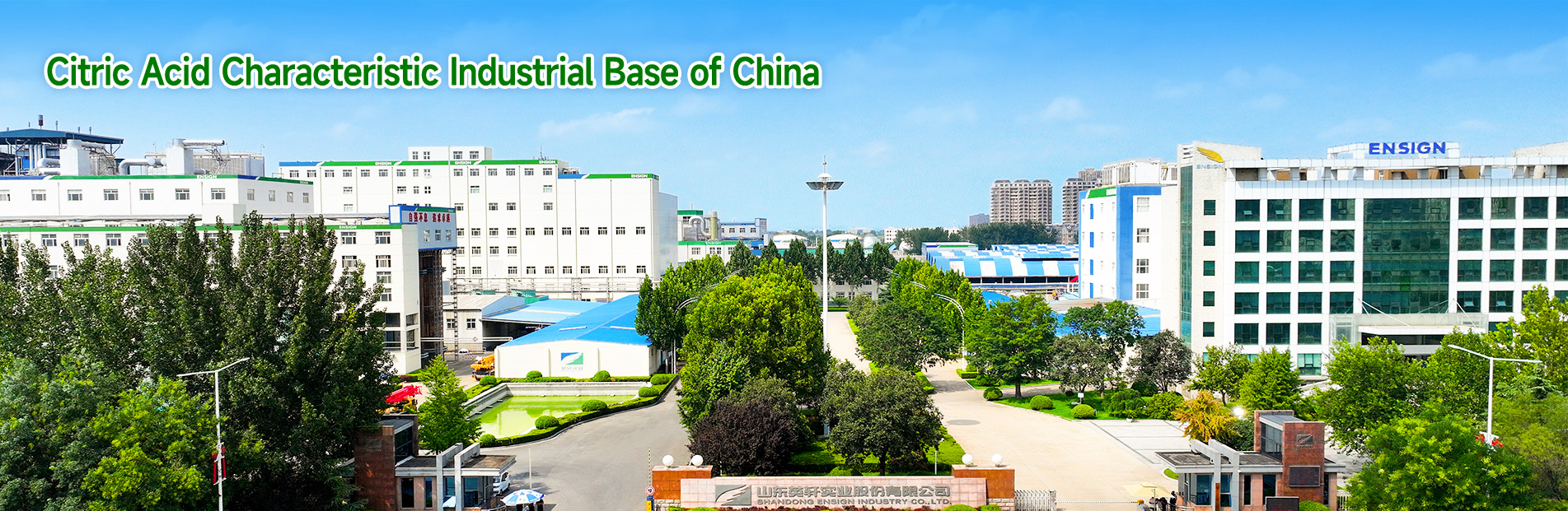 2025澳门免费资料