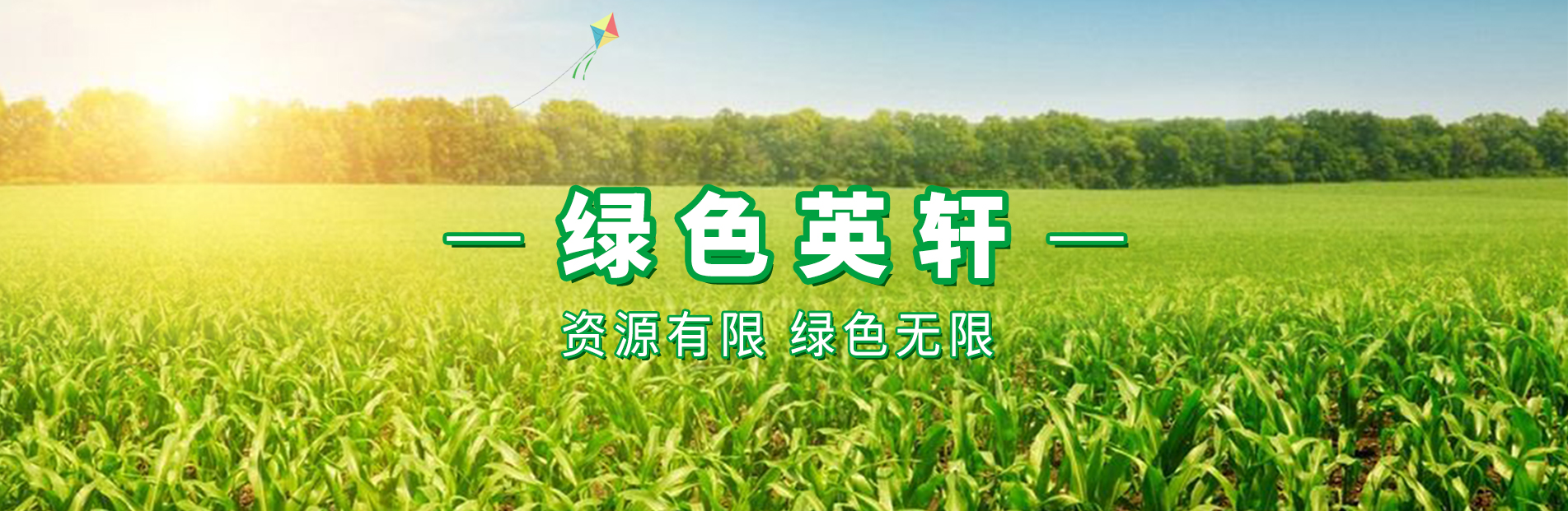 2025澳门免费资料