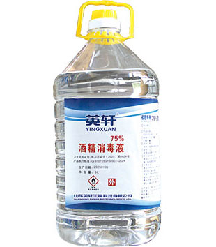 2025澳门免费资料